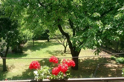 Ferienhaus in Budapest