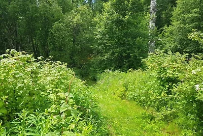 4 Personen Ferienhaus in RAMSJÖ-By Traum