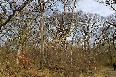 Rifugio sul mare a Stoense-By Traum