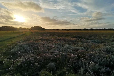 6 persone case ad Asaa-By Traum