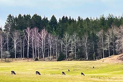 6 Personen Ferienhaus in PRÄSSEBO-By Traum
