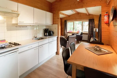 Chalet accogliente con camino a gas a Twente