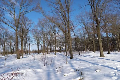 Leuke Tiny Home gelegen naast een eigen