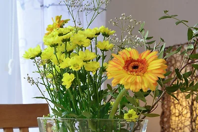 Stilvolle Wohnung in Stormbruch mit Garten