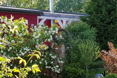 Ferienhaus Erholungsurlaub Barth