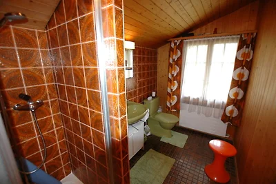 Ferienhaus in Wilderswil mit Garten