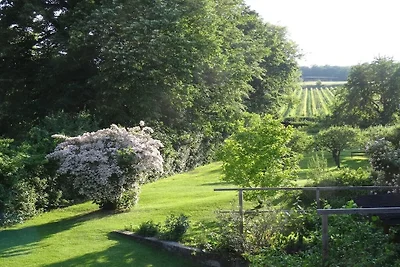 2 Weingut Hauerhof 99