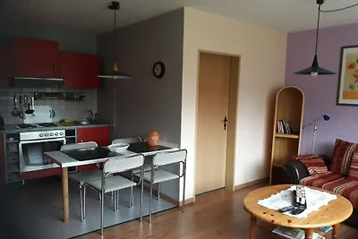 Apartament wakacyjny z 1 sypialnią