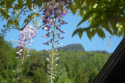 Spitzsteinblick