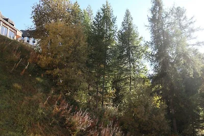 Ampio monolocale per 4 persone