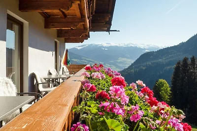Wohnung im Zillertal nahe Skipisten
