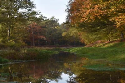 Chalet a Hengelo vicino a riserve naturali