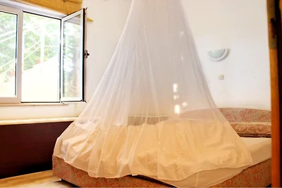 Villa Maslina-Olive one bedroom apartment...