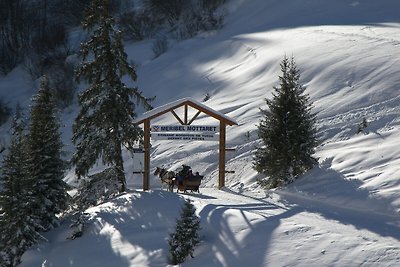 Moderne Ferienwohnung in Méribel mit Balkon