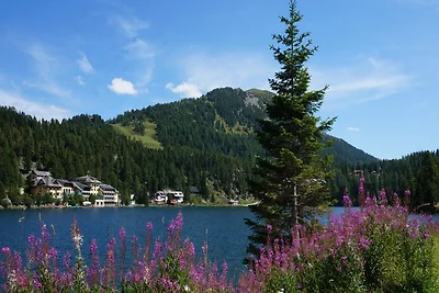 Chalet in Turracher Höhe met Ski-In/Ski-Out