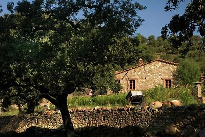 Ferienhaus Der Adler mit Garten in Alajar