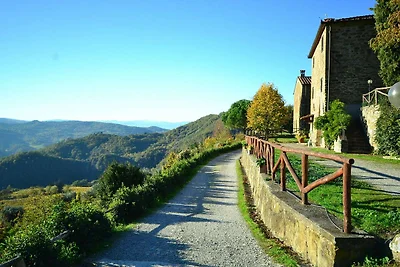 Bauernhaus in Dicomano mit Terrasse