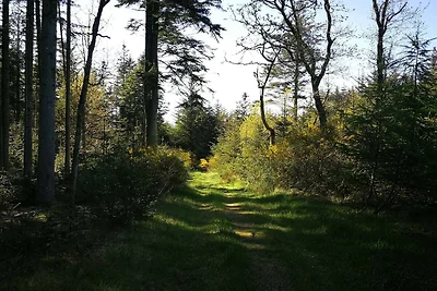 Villa con piscina vicino al mare -- By Traum...