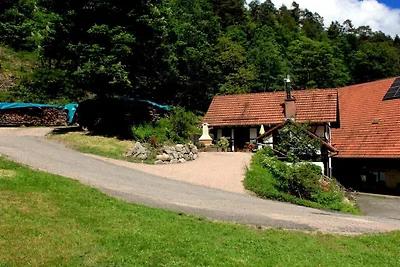 Kuća za odmor Dopust za oporavak Reichenbach