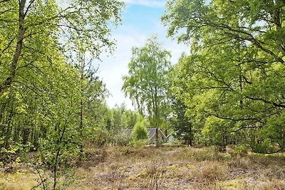 6 persone case ad Læsø-By Traum