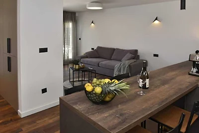 Luxury Slatine Apartments with Terrace and Ga...