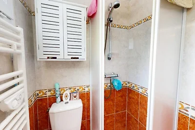 Die Möwe des Lebens