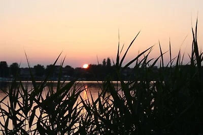 Winnewupp am Ruppiner See