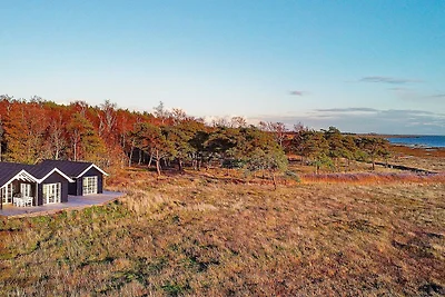 6 persone case ad Læsø-By Traum