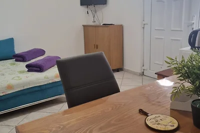 Apartments Marija Sukošan - Standard One Bedr...