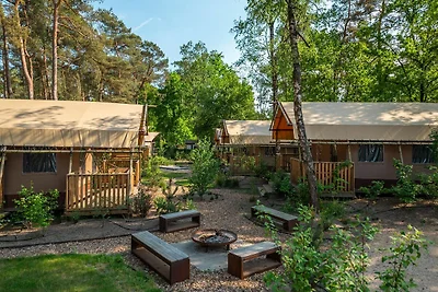 Modernes Ferienhaus in der Veluwe