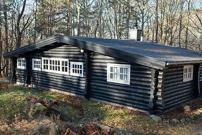 4 Personen Ferienhaus in Frederiksværk-By...
