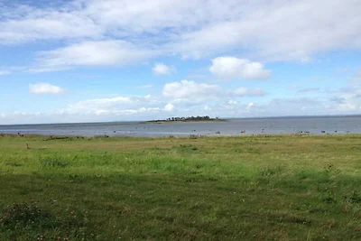 6 Personen Ferienhaus in Jægerspris-By Traum