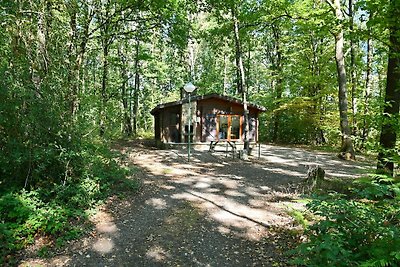 Prachtig chalet in Virtoine met 2 slaapkamers