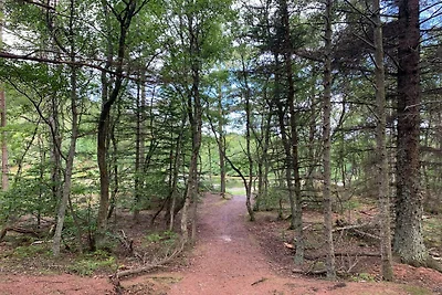 Strand-Ruckzug mit Spa -- By Traum...