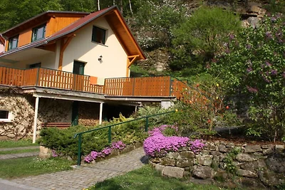 König nahe Bad Schandau