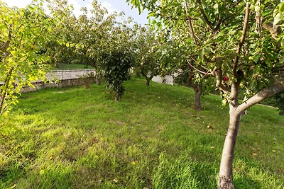 Casa vacanze a Campobasso con vista