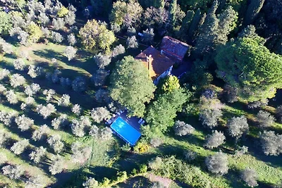 Moderne Villa mit Swimmingpool in Ghizzano...
