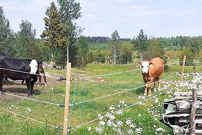 8 Personen Ferienhaus in HULTSFRED-By Traum