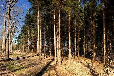 4-Personen-Ferienhaus in Karrebaeksminde