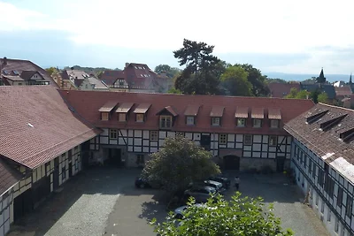Appartement am Park