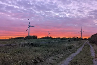 2 Personen Ferienhaus in FALKENBERG-By Traum