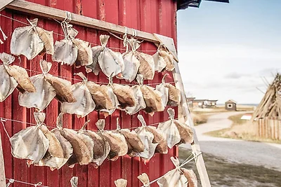7 Personen Ferienhaus in Hvide Sande-By Traum