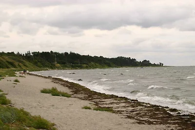 9 Personen Ferienhaus in Jægerspris-By Traum