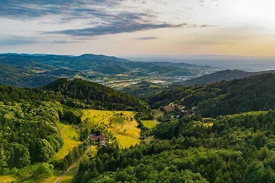 "Kirschzauber" auf dem Vogthof