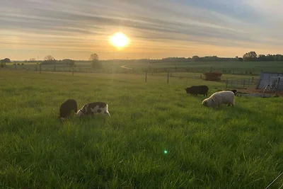 4 Personen Ferienhaus in Skibby-By Traum