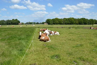 Wohnung in Haaksbergen in der Nהhe von Wald