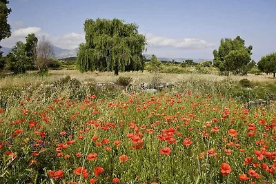 Hütte in Montegrosso mit Wifi