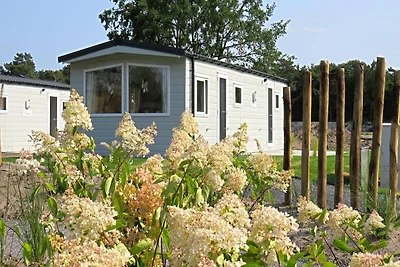 Familien-Chalet in der Antwerpener Kempen