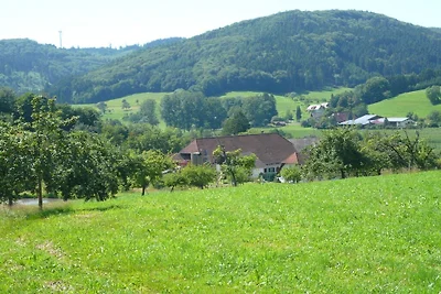 Ferienwohnung mit 2 Schlafzimmer