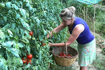 Agriturismo La Filomena, Montefortino